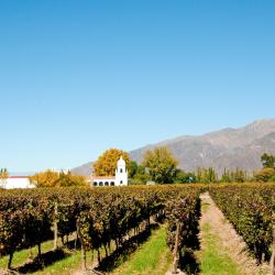 Cafayate Accommodation Texas