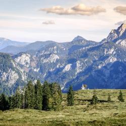 Salzburg Accommodation Texas