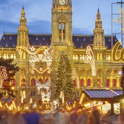 Vienna Christmas Market, Vienna Accommodation Texas
