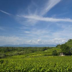 Baden-Württemberg Accommodation Texas