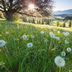 Bavaria Accommodation Texas