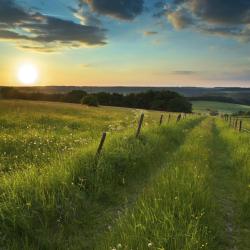 Eifel Accommodation Texas