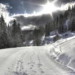 Feldberg Accommodation Texas