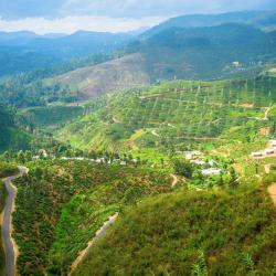 Badulla District Accommodation Texas