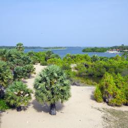Batticaloa District Accommodation Texas