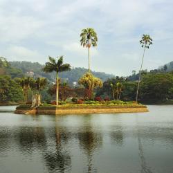 Kandy Lake, Kandy Accommodation Texas