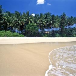 Mirissa Accommodation Texas