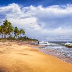 Negombo Accommodation Texas