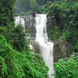 Nuwara Eliya Accommodation Texas