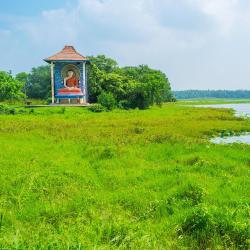 Puttalam District Accommodation Texas