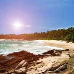 Tangalle Accommodation Texas
