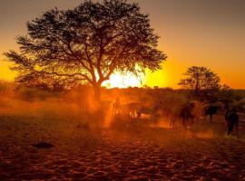 Bagatelle Kalahari Boutique Farmhouse Lodge Accommodation Texas
