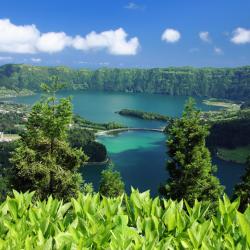 Azores Accommodation Texas