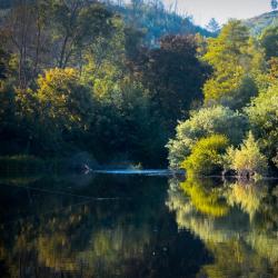 Beira Alta Accommodation Texas