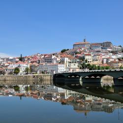 Centro Accommodation Texas