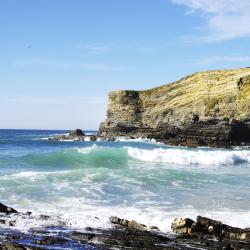 Costa Alentejana Accommodation Texas