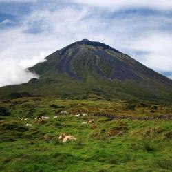 Pico island Accommodation Texas