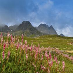 Santa Maria Accommodation Texas