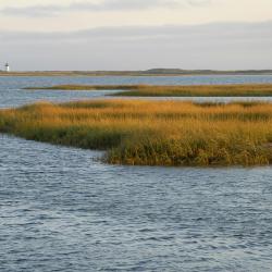 Cape Cod Accommodation Texas