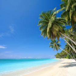 Hawaii Accommodation Texas