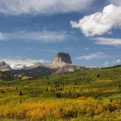 Texas Accommodation Texas