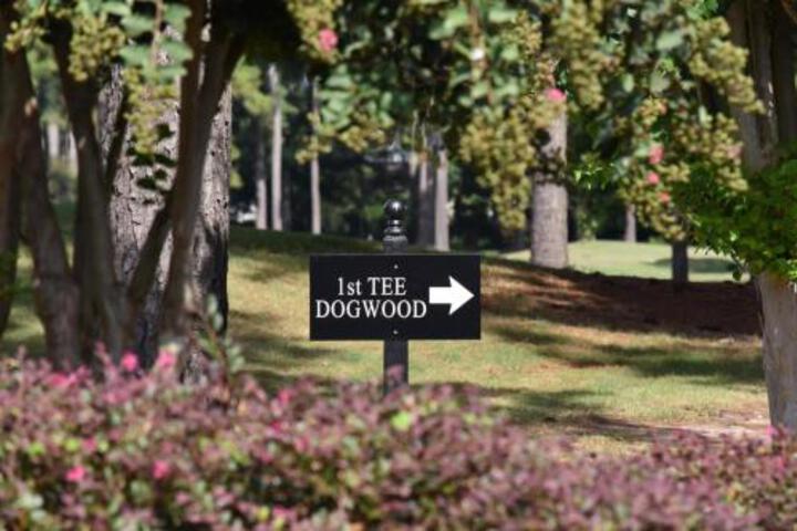 905M Condo - thumb 5