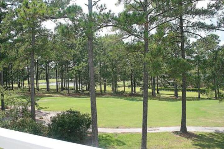 3009M Condo - thumb 3