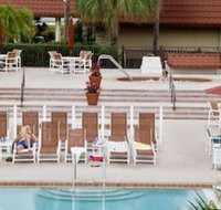 The Suites at Magic Tree - Accommodation Texas