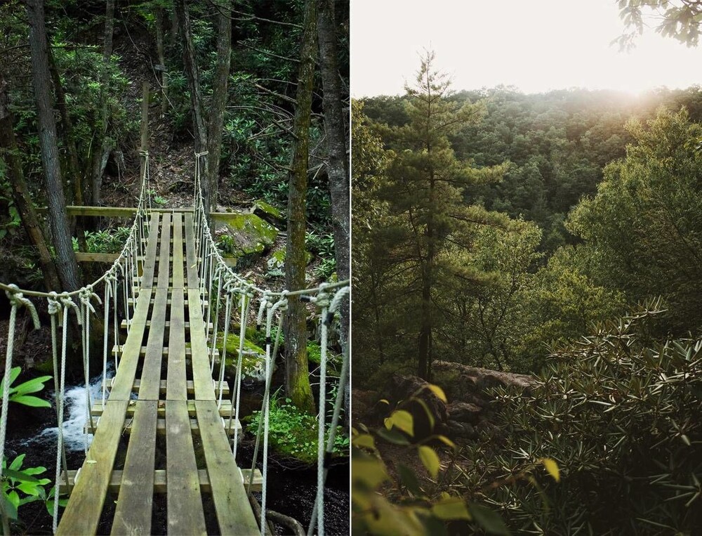 Tentrr A Creek Runs Through It Campsite - thumb 6