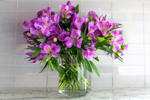 Stay Alfred On South 4th Street - thumb 6