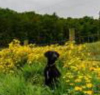 Wolf Creek Farm B  B  Motorcycle Manor at Wolf Creek Farm - Accommodation Texas