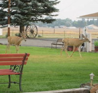 Rim Rock Motel - Accommodation Texas