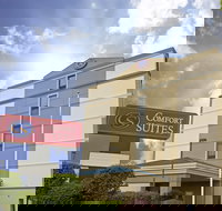 Comfort Suites at Woodbridge - Accommodation Texas