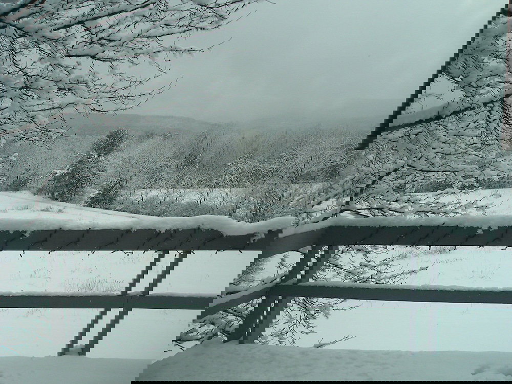 Berkshire Mountain House - thumb 3