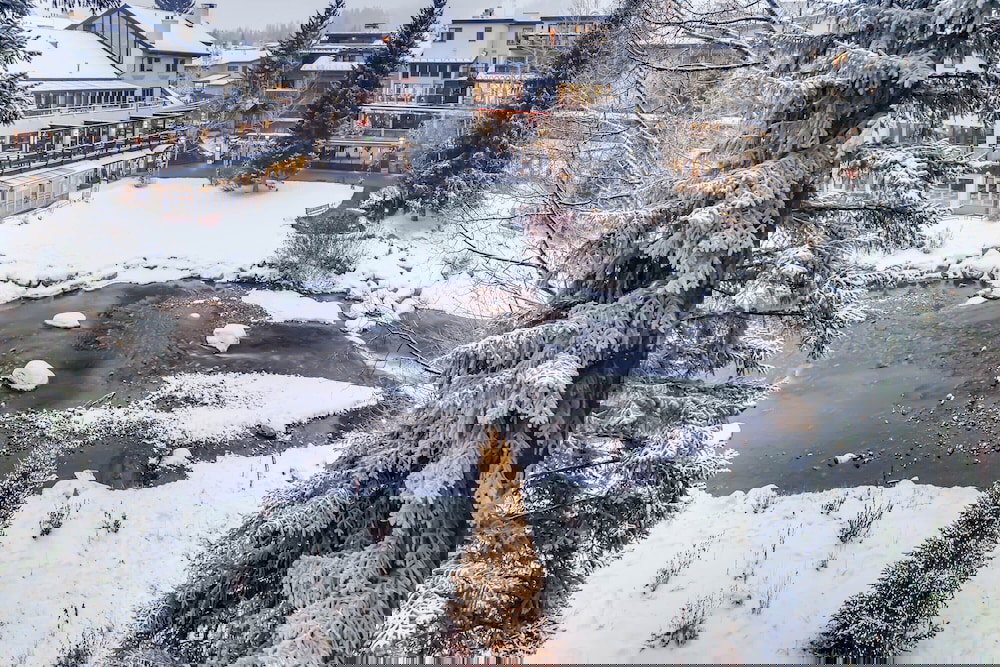 Vail Mountain Lodging By East West Hospitality - thumb 2