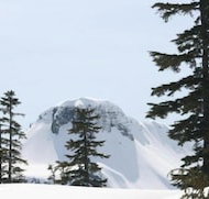 Mt. Baker Lodging Condo 41  Sauna WiFi Sleeps 8 by MBL - Accommodation Texas