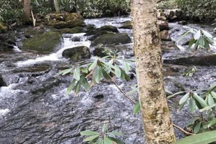 Tentrr Retreat On Bear Creek - thumb 6