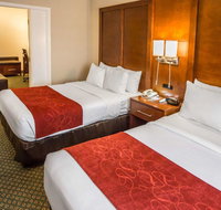 Comfort Suites Chicago - Oakbrook Terrace - Accommodation Texas