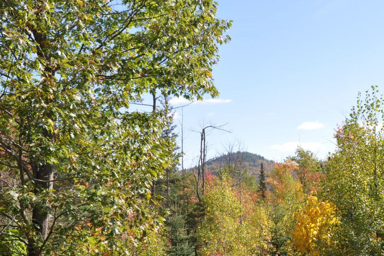 Vacation: Mount Brook Cabin - thumb 39