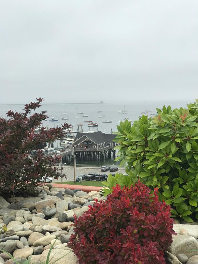 250 Main Hotel - thumb 16