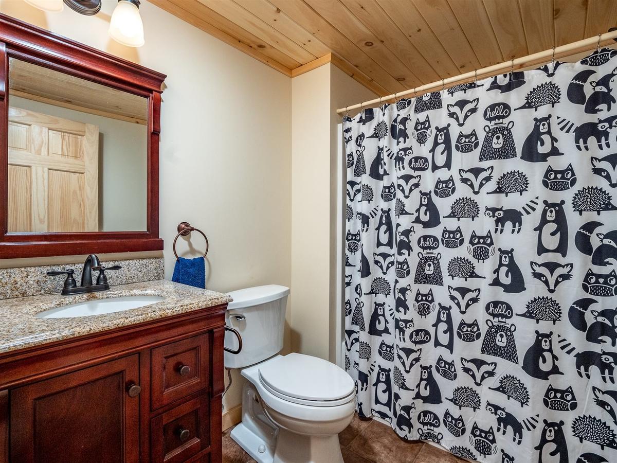 Vacation: Will View Ski Chalet - thumb 21