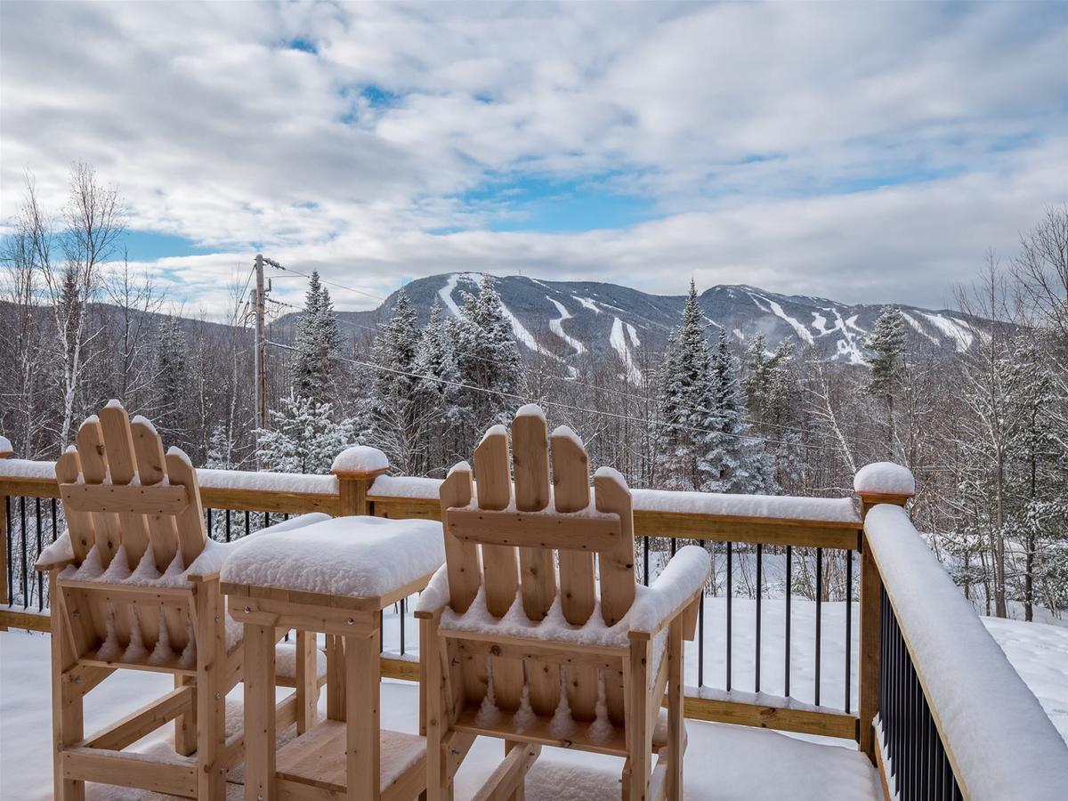 Vacation: Chalet At The Peaks - thumb 26