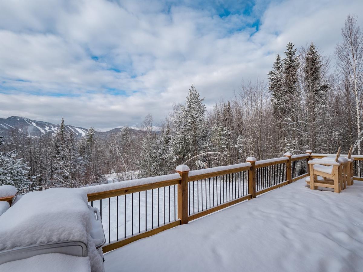 Vacation: Chalet At The Peaks - thumb 27