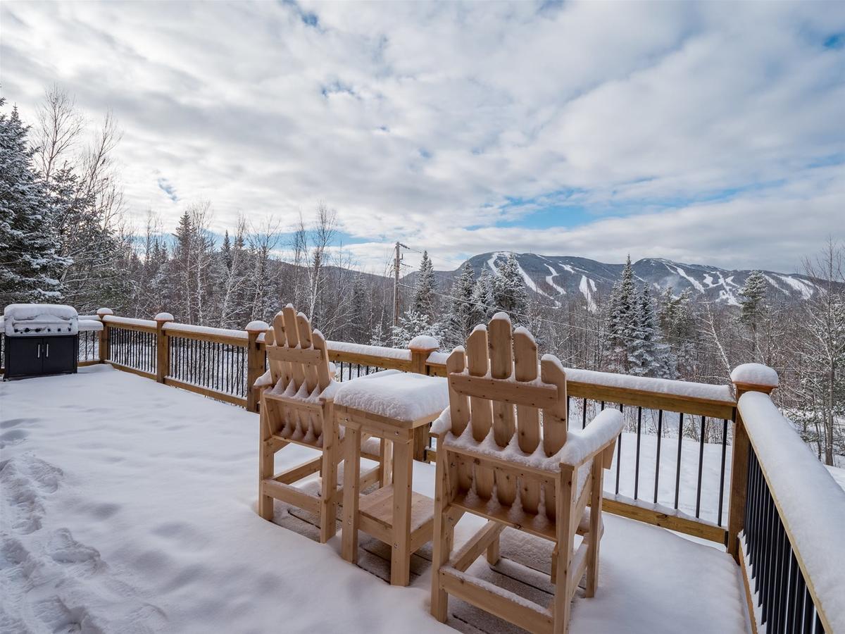 Vacation: Chalet At The Peaks - thumb 28