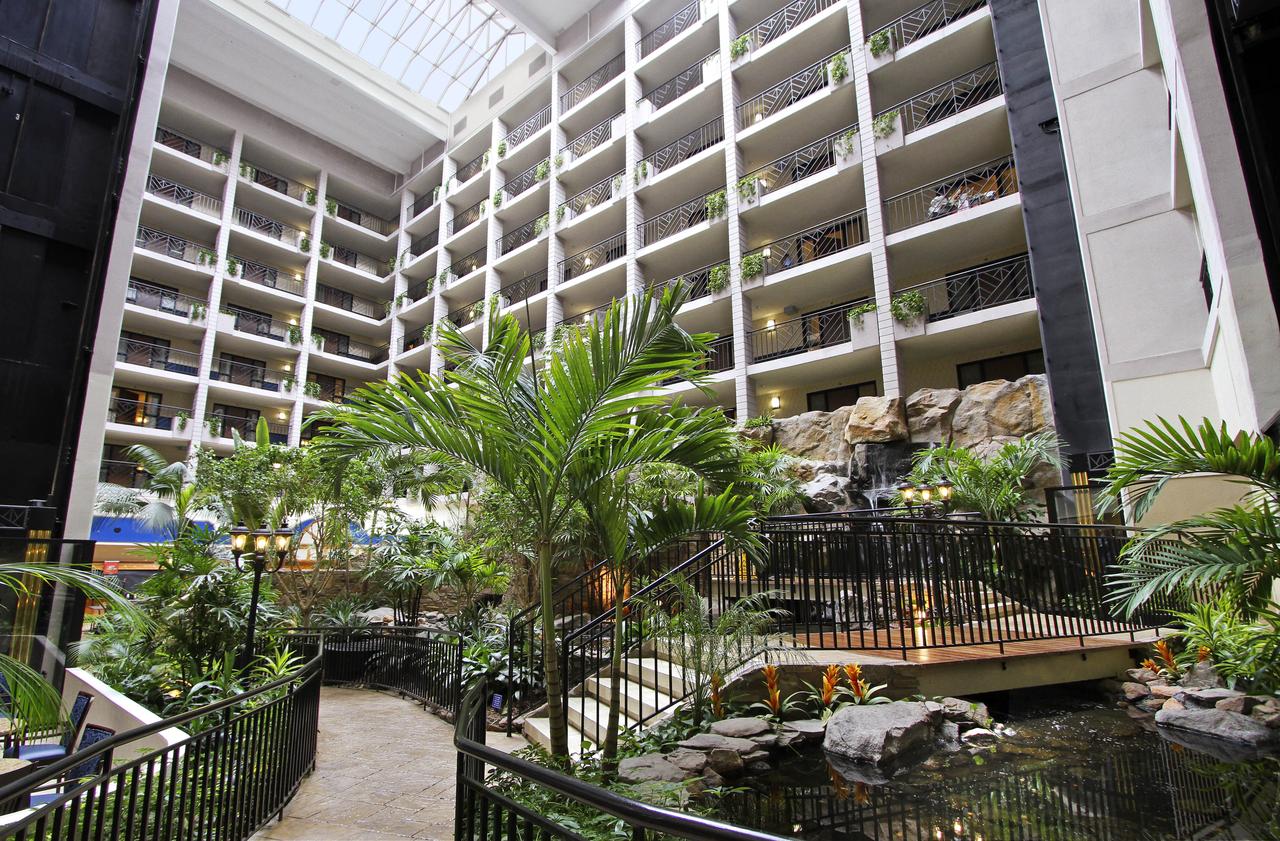 Embassy Suites Baltimore - North/Hunt Valley - thumb 21