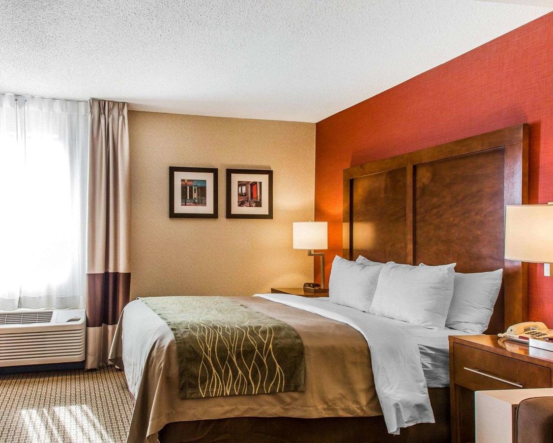 Comfort Inn Boston - thumb 24