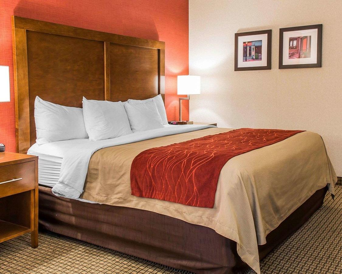 Comfort Inn Boston - thumb 7