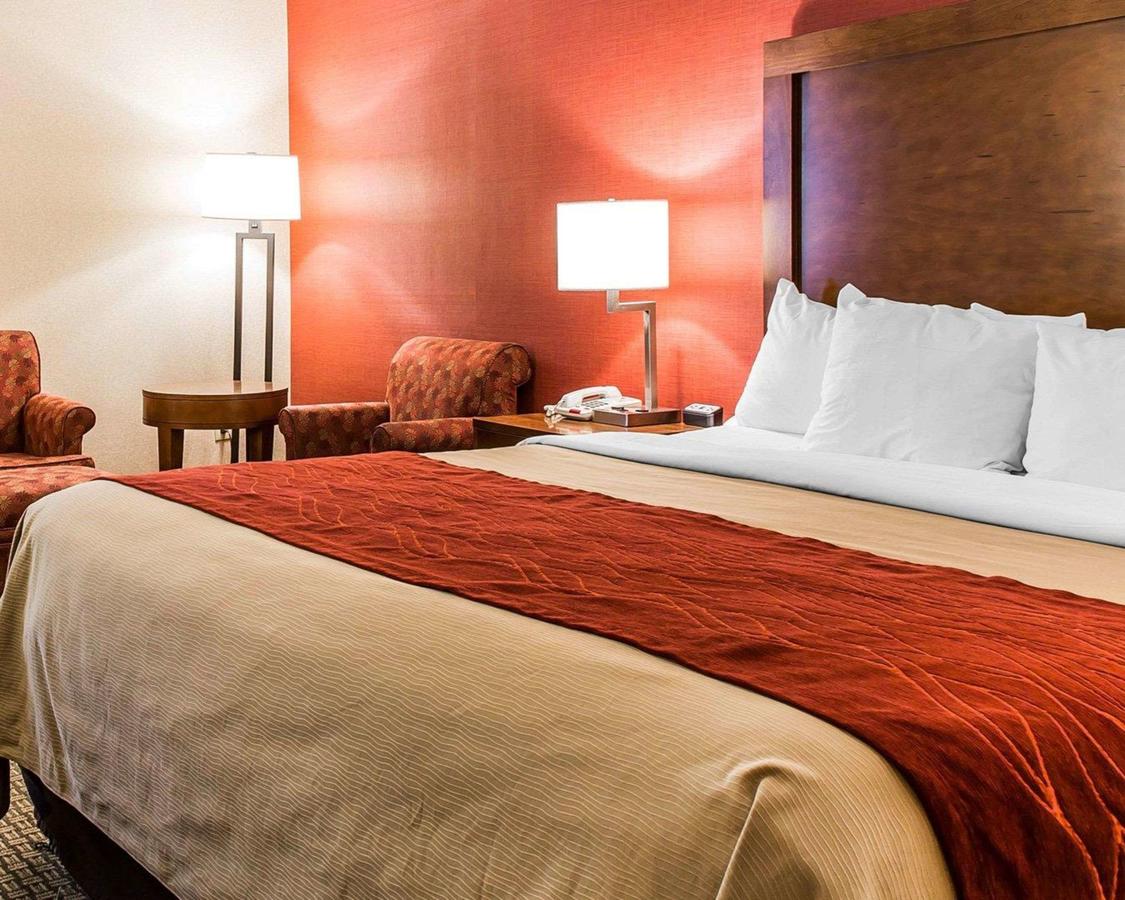 Comfort Inn Boston - thumb 11