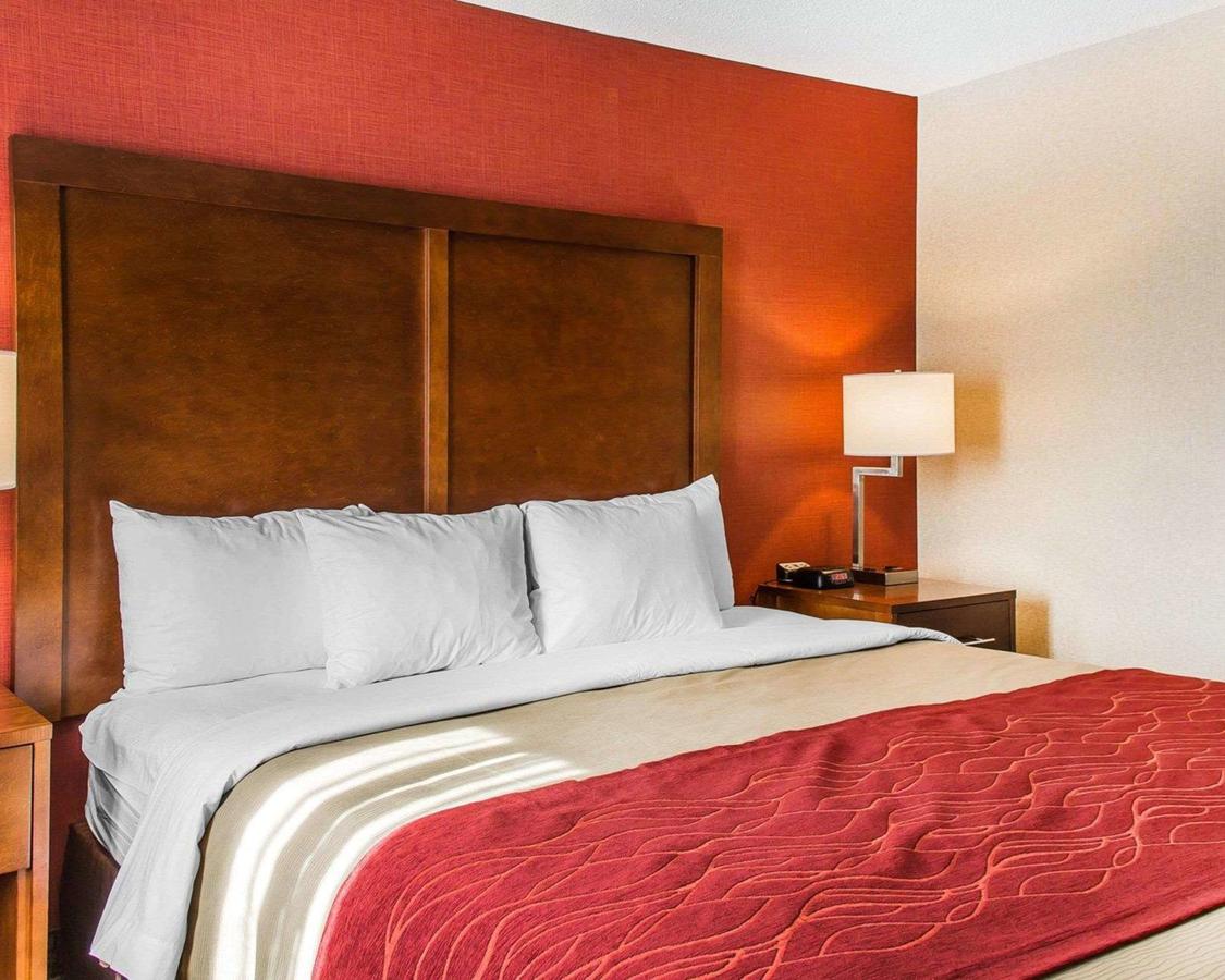 Comfort Inn Boston - thumb 14