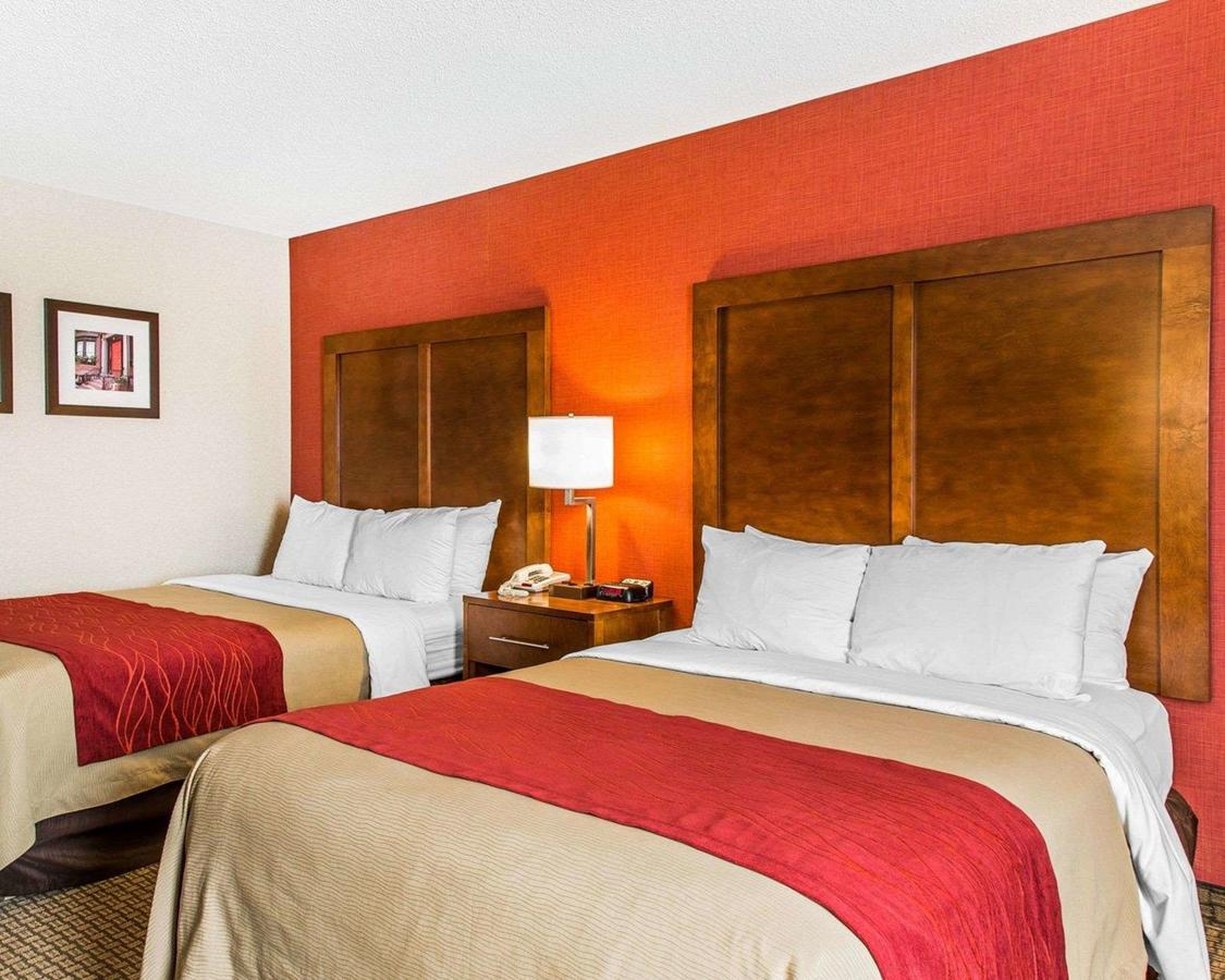 Comfort Inn Boston - thumb 17
